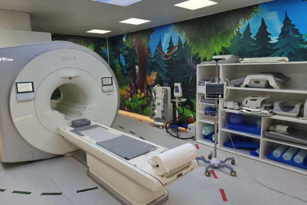 5303407771971689217 (1)