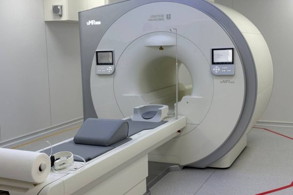 photo_5375065912576249310_y